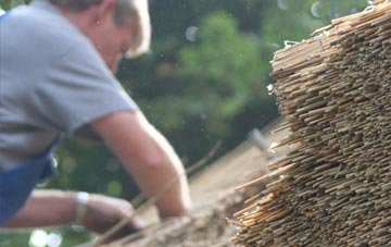 professional Dorn thatchers